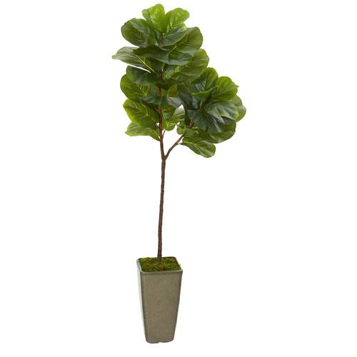 65" Fiddle Leaf Artificial Tree in Green Planter (Real Touch)