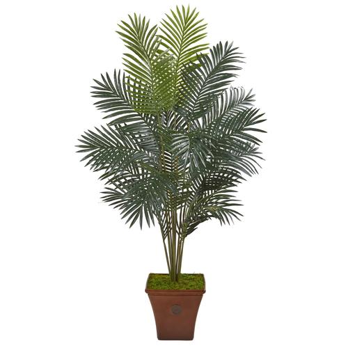 65" Paradise Palm Artificial Plant in Brown Planter