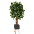 6.5'Super Deluxe Ficus Artificial Tree in Black Planter with Stand