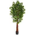 6.5'Super Deluxe Ficus Artificial Tree with Natural Trunk