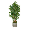67" Black Olive Artificial Tree with 1365 Bendable Leaves in White Planter