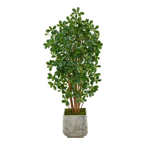 67" Black Olive Artificial Tree with 1365 Bendable Leaves in White Planter