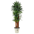 69" Dracaena Artificial Tree in Decorative Planter