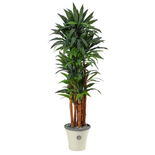 69" Dracaena Artificial Tree in Decorative Planter