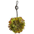 7" & 5" Mixed Succulent Spheres (Set of 2)
