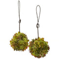 7" Mixed Succulent Hanging Spheres (Set of 2)