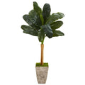 70" Banana Artificial Tree in Country White Planter