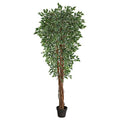 70" Variegated Ficus Artificial Tree UV Resistant (Indoor/Outdoor)