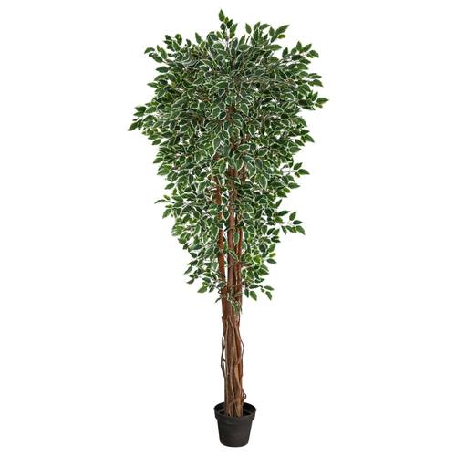 70" Variegated Ficus Artificial Tree UV Resistant (Indoor/Outdoor)