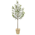 75" Olive Artificial Tree in Country White Planter