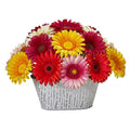 9" Gerber Daisy Artificial Arrangement in White Tin Vase