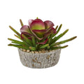 9" Mixed Succulent Artificial Plant in Weathered Oak Planter