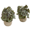 9" Rex Begonia Artificial Plant in Stone Gray Planter (Set of 2)
