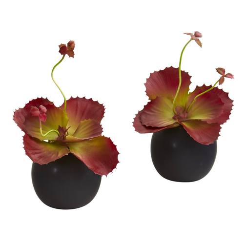 9" Succulent Artificial Plant in White Planter (Set of 2)