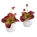 9" Succulent Artificial Plant in White Planter (Set of 2)