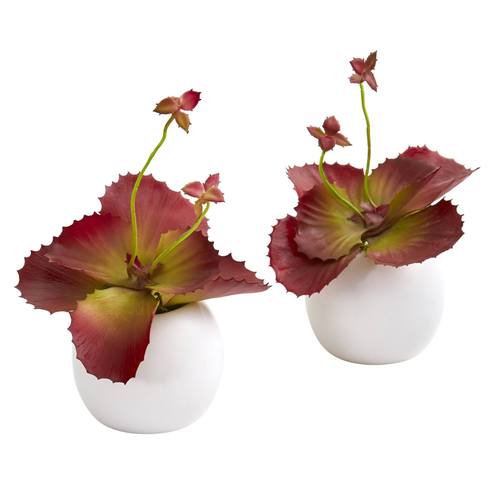 9" Succulent Artificial Plant in White Planter (Set of 2)