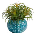9" Tillandsia Artificial Plant in Blue Planter