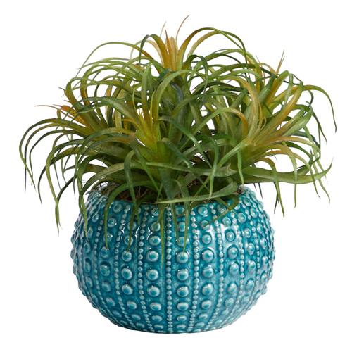 9" Tillandsia Artificial Plant in Blue Planter