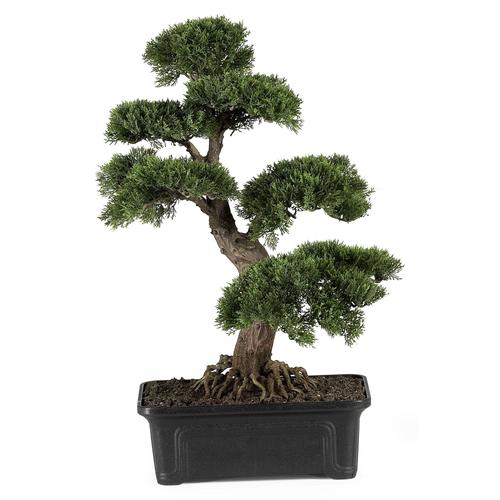 Cedar Bonsai 24" Silk Plant
