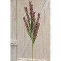 Giant Millet Spray Burgundy (Pack of 4)