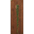 Succulent Strand 28" L (Pack of 4)