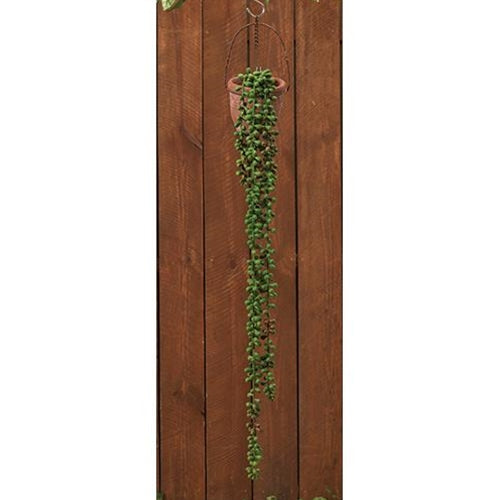 Succulent Strand 28" L (Pack of 4)