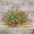 Pink Astilbe Half Sphere 8" (Pack of 2)