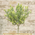 After Rain Bush 14" (Pack of 2)