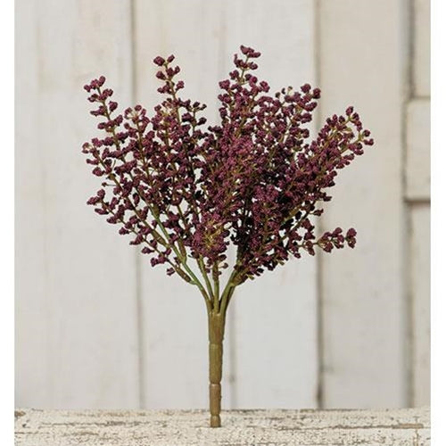 Bursting Astilbe Bush 10.5" Plum (Pack of 4)