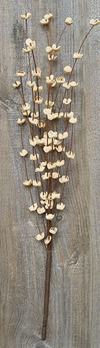 Cream Buttercup Pick 16" (Pack of 4)