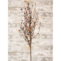 Pip Berry Spray 26" Primitive Mix (Pack of 4)