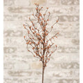 Pip Berry Spray 26" Teastain (Pack of 4)
