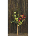 Eucalyptus Berry Pick (Pack of 4)