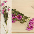 Purple Aster Daisy Spray 28" (Pack of 4)
