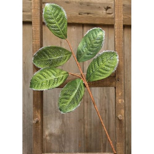 Flocked Magnolia Leaves Spray 20" (Pack of 4)