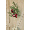 Cedar Pick w/Berries 20" (Pack of 4)