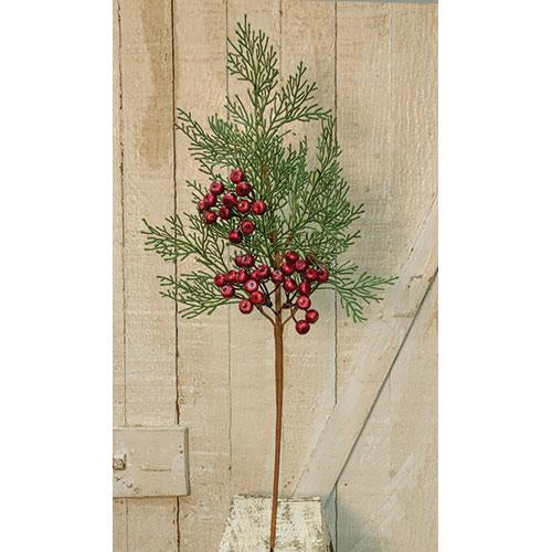 Cedar Pick w/Berries 20" (Pack of 4)