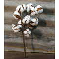 Cotton Ball Bunch 14" (Pack of 4)