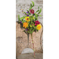 Mixed Prairie Daisy Spray 18" (Pack of 4)