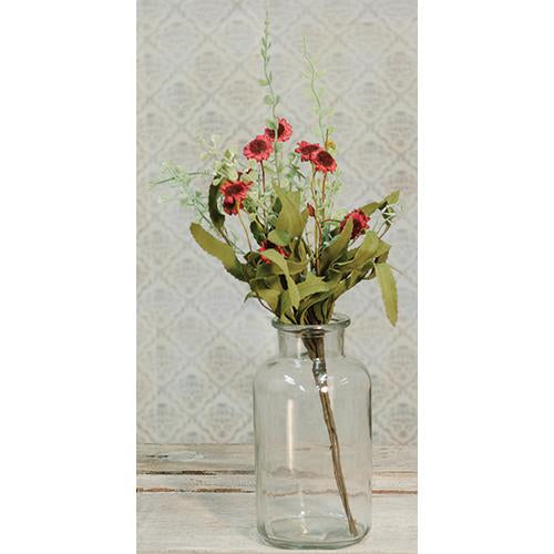 Bird's Eye Daisy Bush Burgundy 18" (Pack of 4)