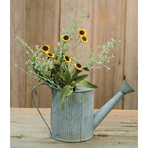 Bird's Eye Daisy Bush Yellow 18"  (Pack of 4)
