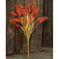 Dog Tail Grass Bush Orange 20" (Pack of 2)