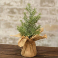 Mini Snowy Rosemary Pine Tree 11"  (Pack of 4)