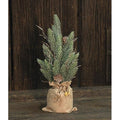 Snowy Glitter Pine Tree in Gift Bag 12" (Pack of 2)