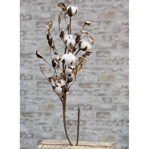 Cotton Branch w/Shells 30"  (Pack of 4)
