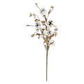 Cotton Spray w/Shells 24"  (Pack of 4)