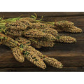 Millet Heather Bush Yellow 24" (Pack of 2)