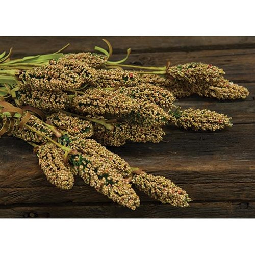 Millet Heather Bush Yellow 24" (Pack of 2)