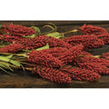 Millet Heather Bush Orange 24" (Pack of 2)