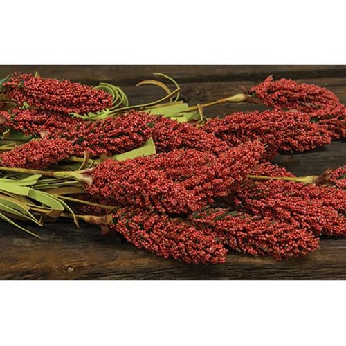 Millet Heather Bush Orange 24" (Pack of 2)